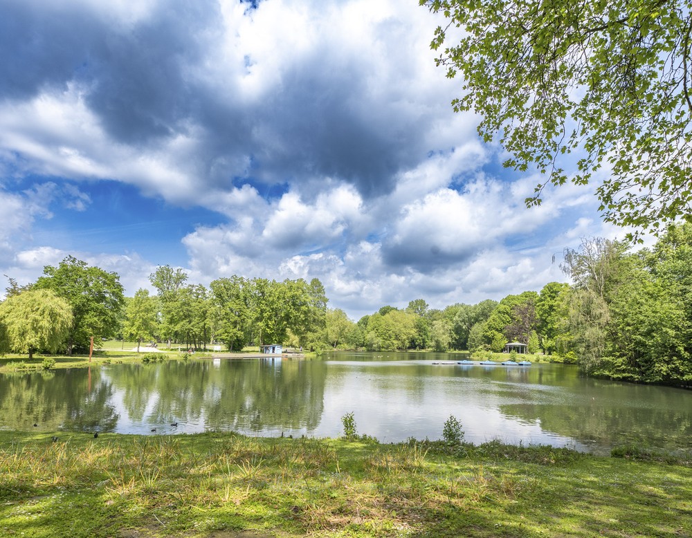 Fredenbaumpark in Dortmund, Teich, Wiese Bäume, Himmel