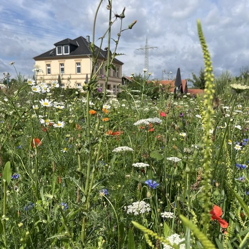 Castrop-Rauxel: Allmende-Nutz- und Naturgarten am Hof Emscher-Auen