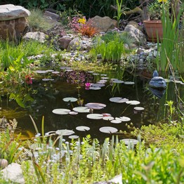 Werl, Insektenglück