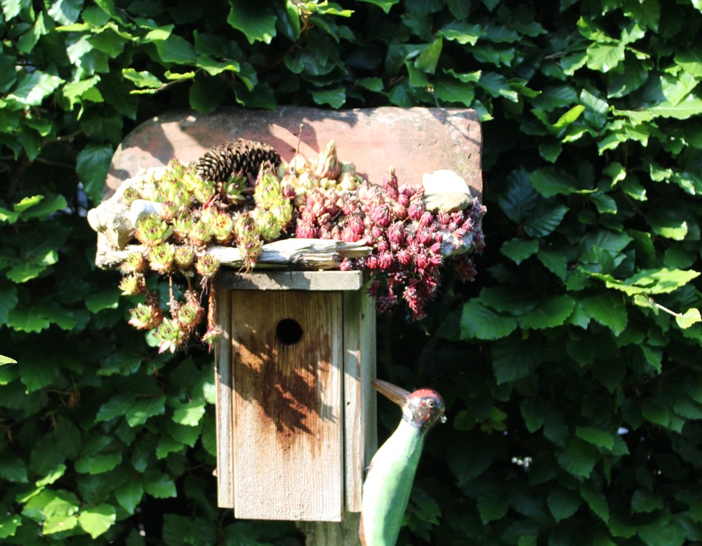 Coesfeld, Garten Josef Wolfert