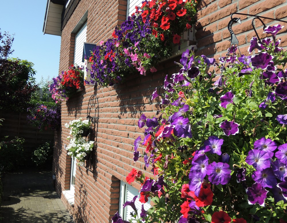 Horstmar, Privatgarten Spahn