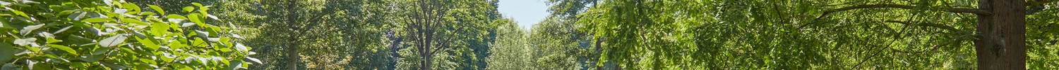 Kurpark Werl