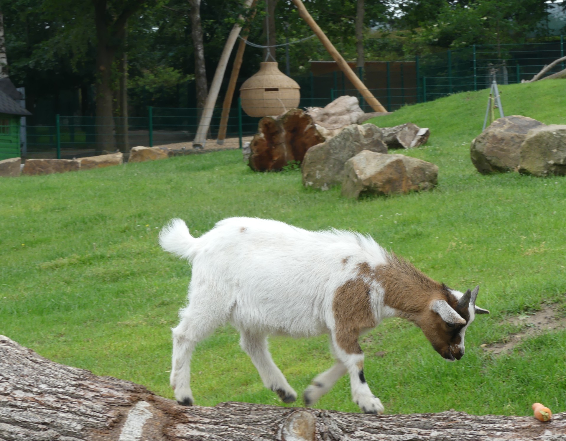 Oelde, Vier-Jahreszeiten-Park