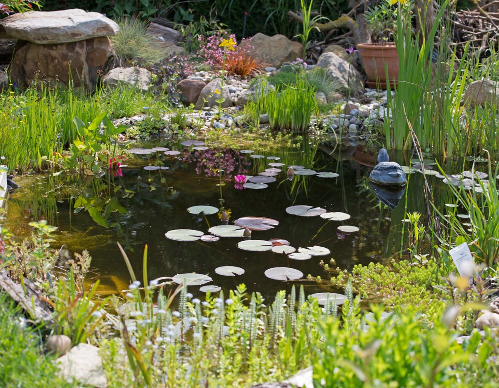 Werl, Insektenglück