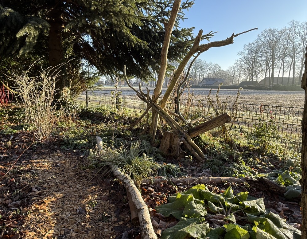 Gütersloh, Holler Gruenzeug