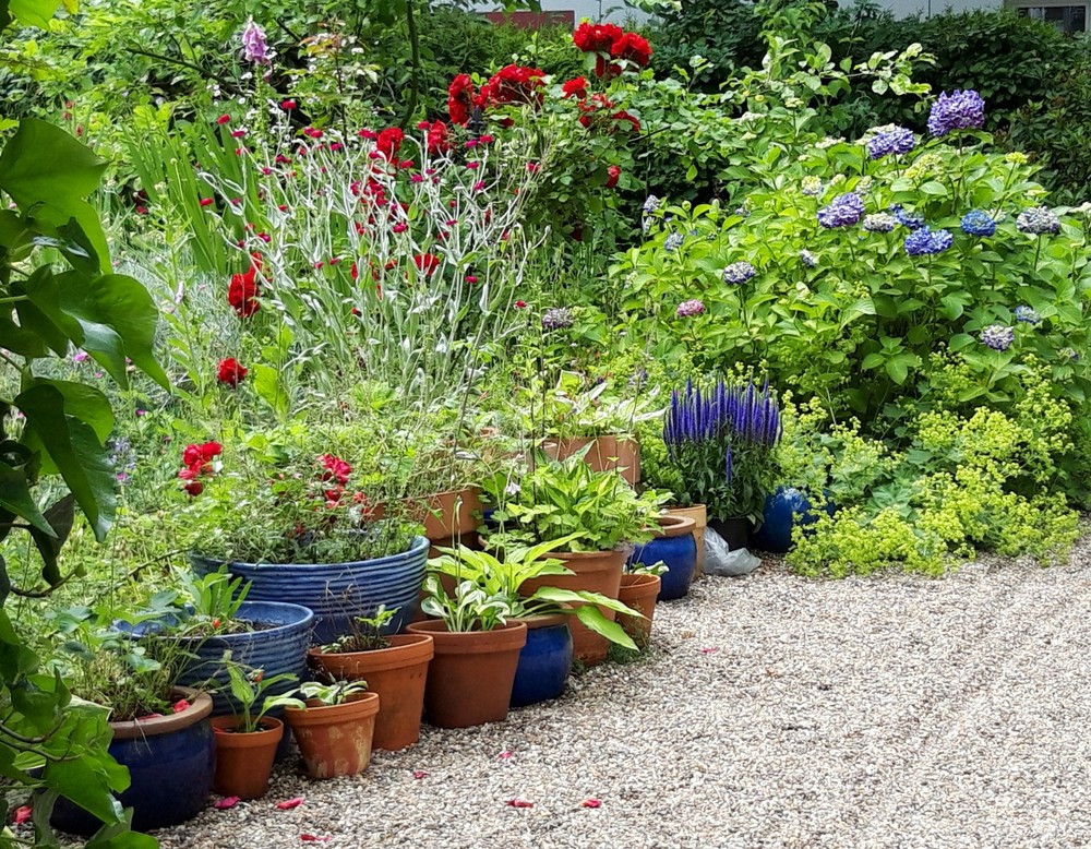 Naturnaher Familiengarten