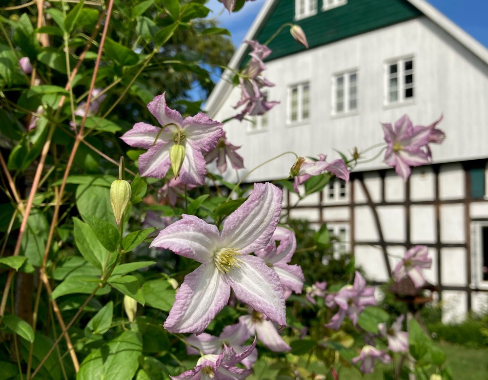 Löhne, Oase Alte Gärtnerei