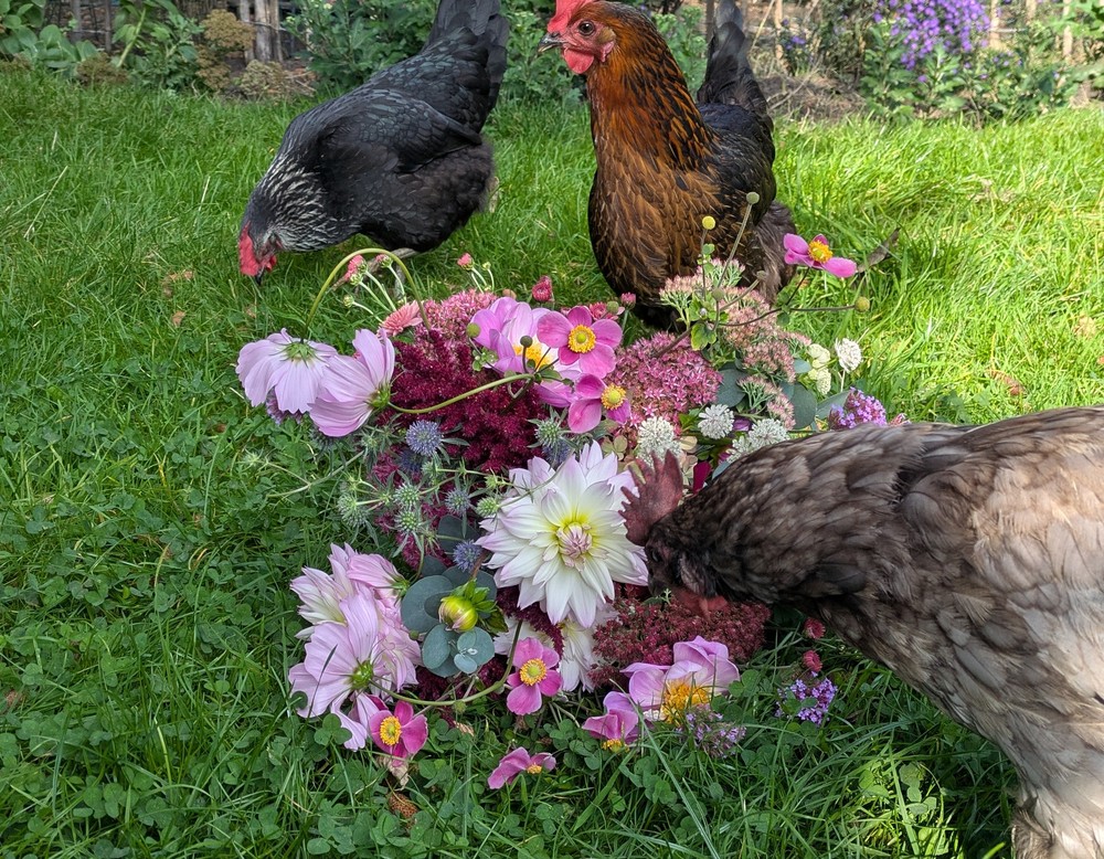 Bottrop, Giannas Gartenwerkstatt