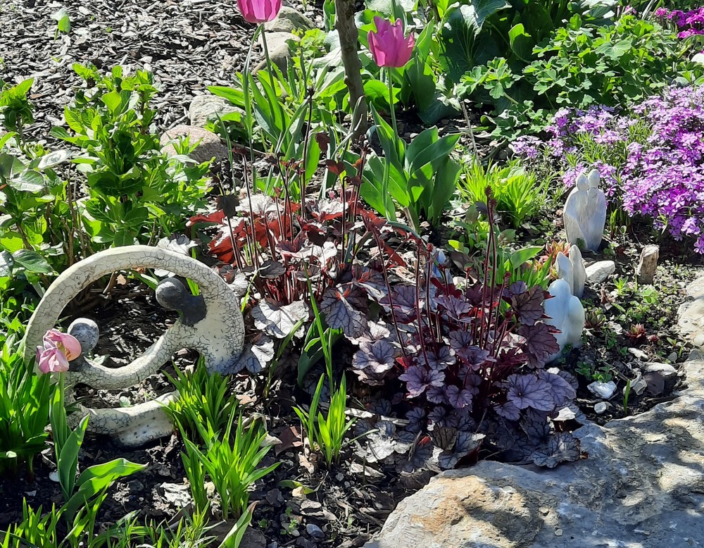 Hausgarten Weiß + Zanken