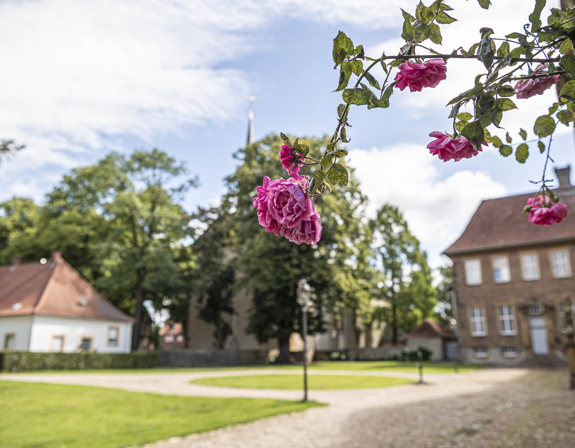 Rosenblüten an der ehemaligen Propstei des Klosters Clarholz. Im Hintergrund sieht man eins der ehemaligen Wirtschaftsgebäude und die Pfarrkirche.