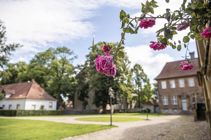Rosenblüten an der ehemaligen Propstei des Klosters Clarholz. Im Hintergrund sieht man eins der ehemaligen Wirtschaftsgebäude und die Pfarrkirche.