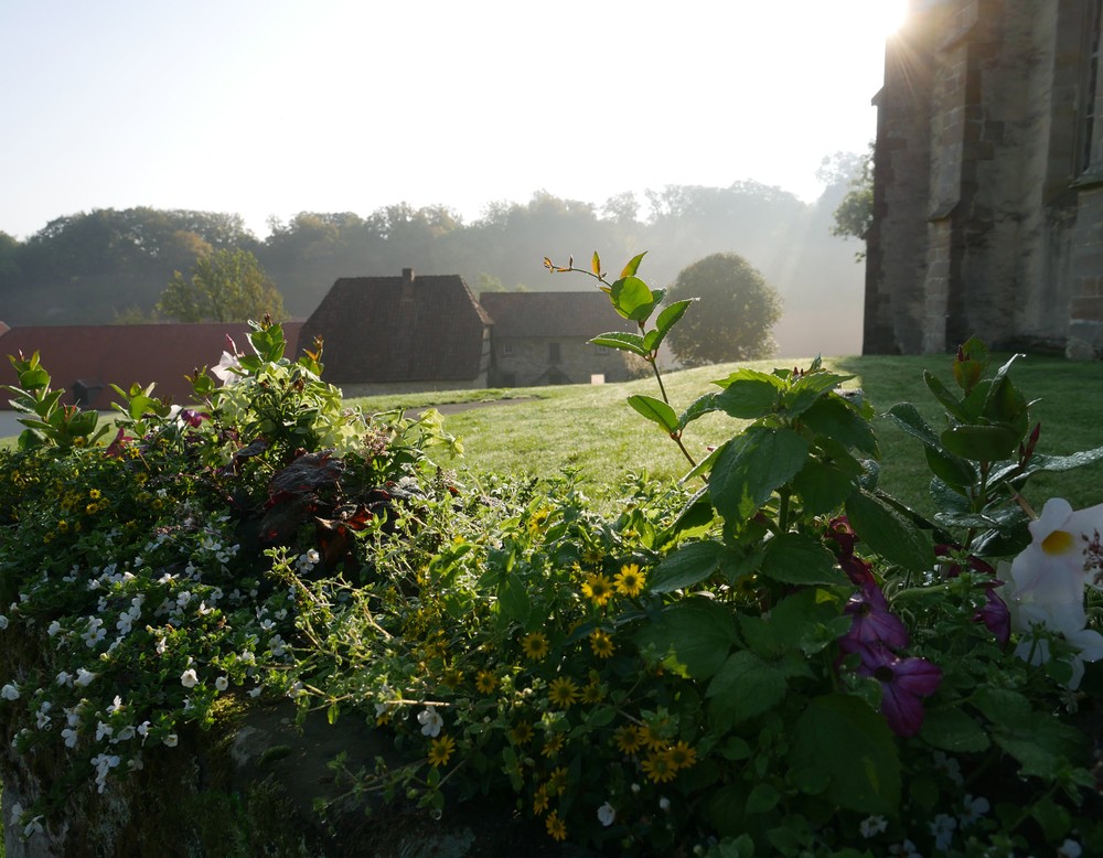 Sonnenaufgang am Kloster Dalheim. Rechts erkennt man Teile der Klosterkirche. Im mittleren Hintergrund das Geflügelhaus sowie einen der Ställe.