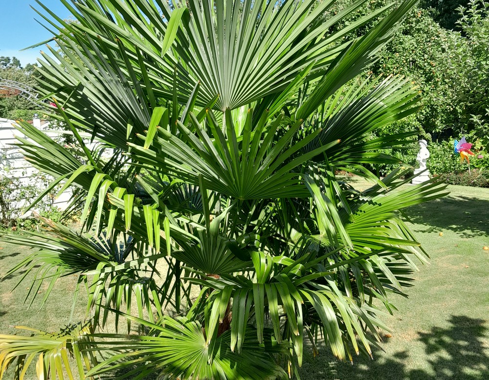 Gudrun und Helmut Spahn - Privatgarten