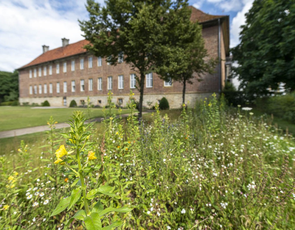 Beet im Klostergarten an der Rückseite der ehemaligen Propstei des Klosters.