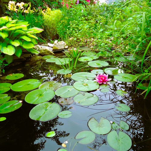 Garten Heike Zimmermann