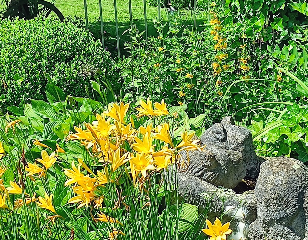 Stauden und Skulpturen Garten