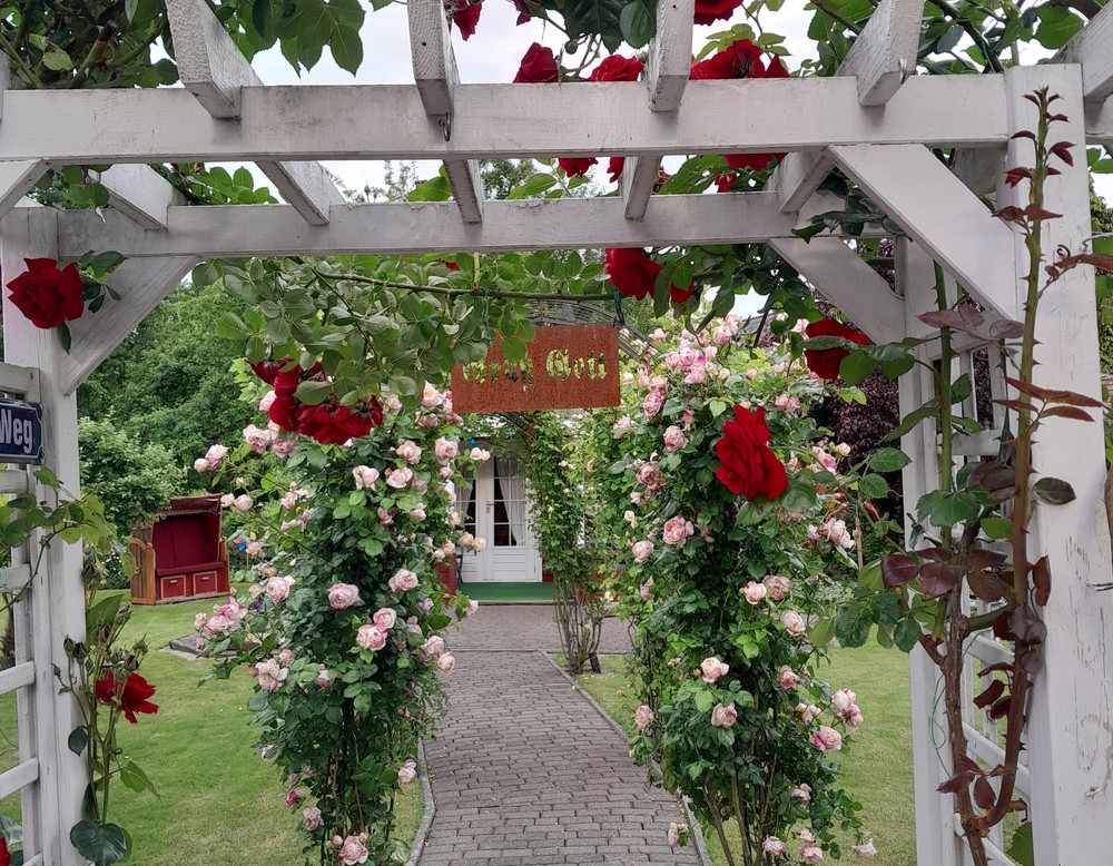 Gudrun und Helmut Spahn - Privatgarten