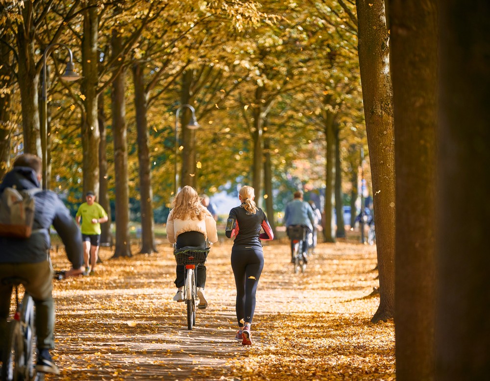 Promenade Münster, Jogger und Radfahrer auf Allee