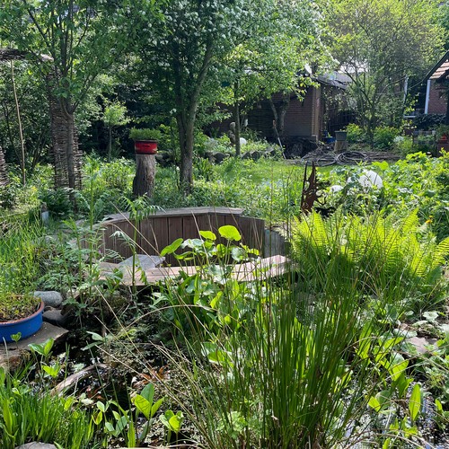 Duisburg: Naturgarten in Duisburg-Walsum