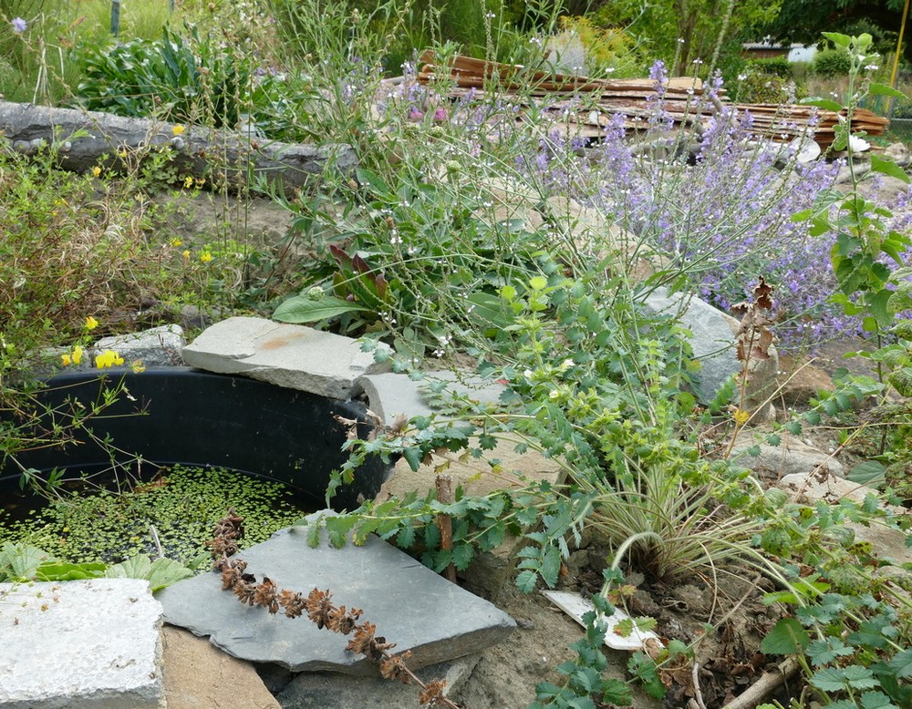 NABU-Ruhrgebietsgarten