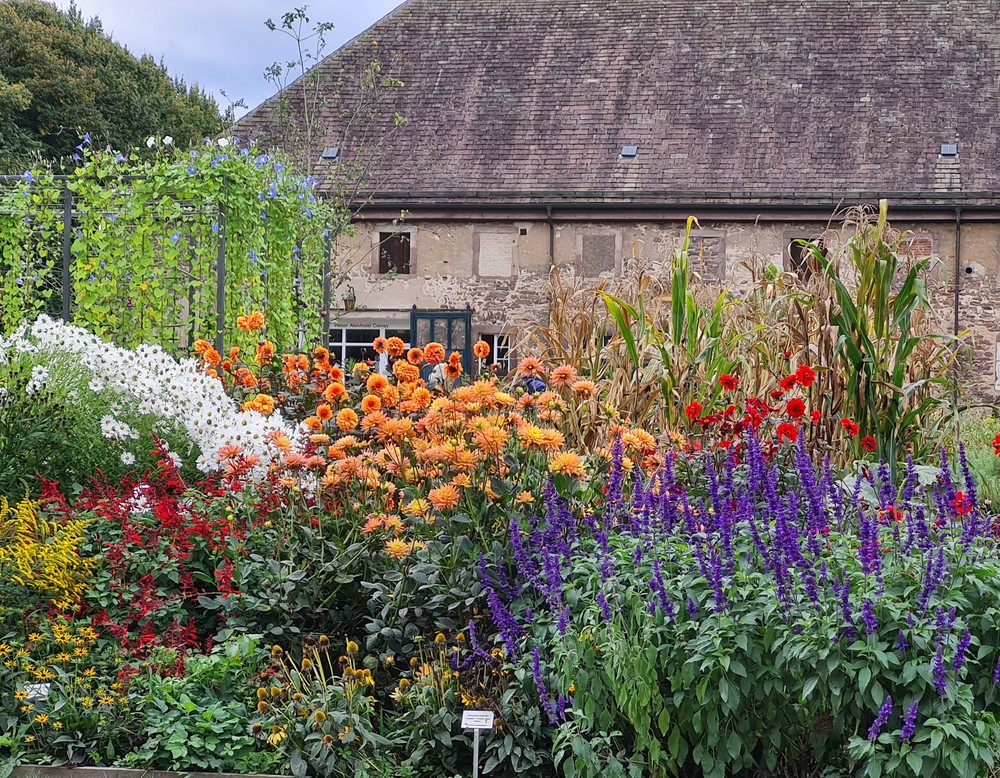 Höxter, Remtergarten Schloss Corvey