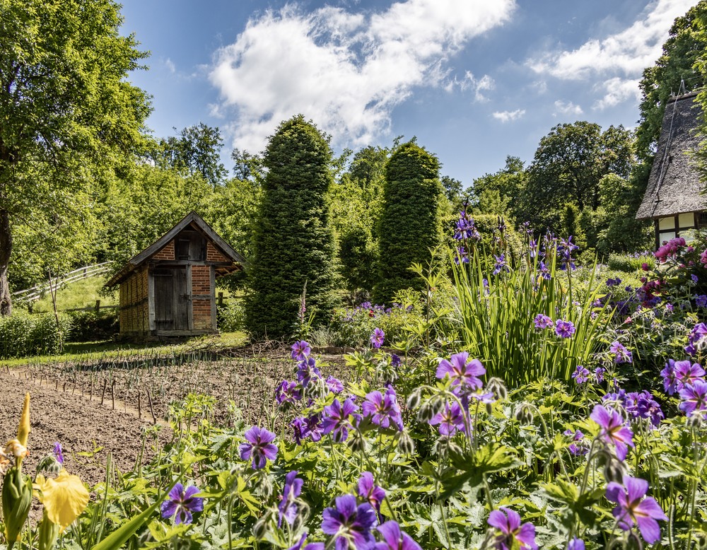 Freilichtmuseum-Detmold, Garten-Osnabrückerhof, Fotograf: Walter-Nitsche