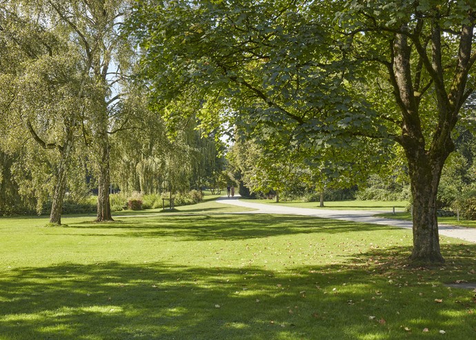 Weg durch Wiese mit Bäumen im Nordpark Bielefeld.