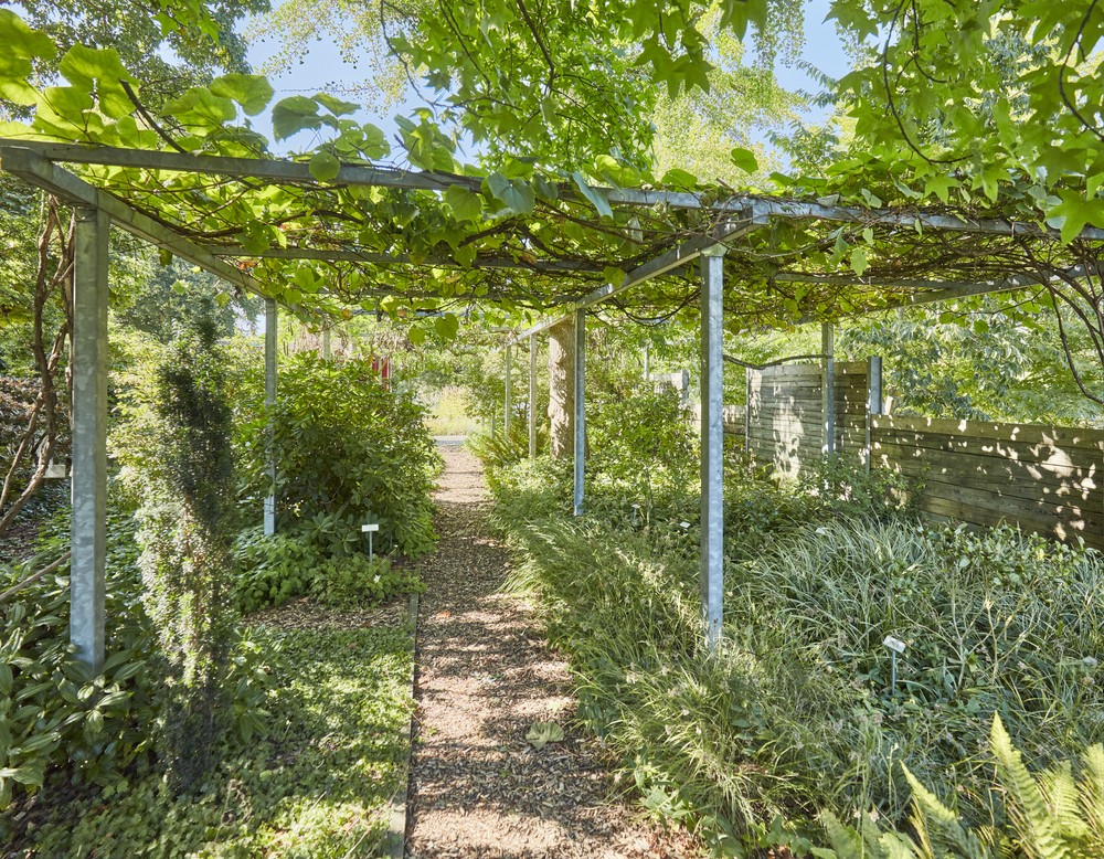 Höxter, Botanischer Garten Höxter