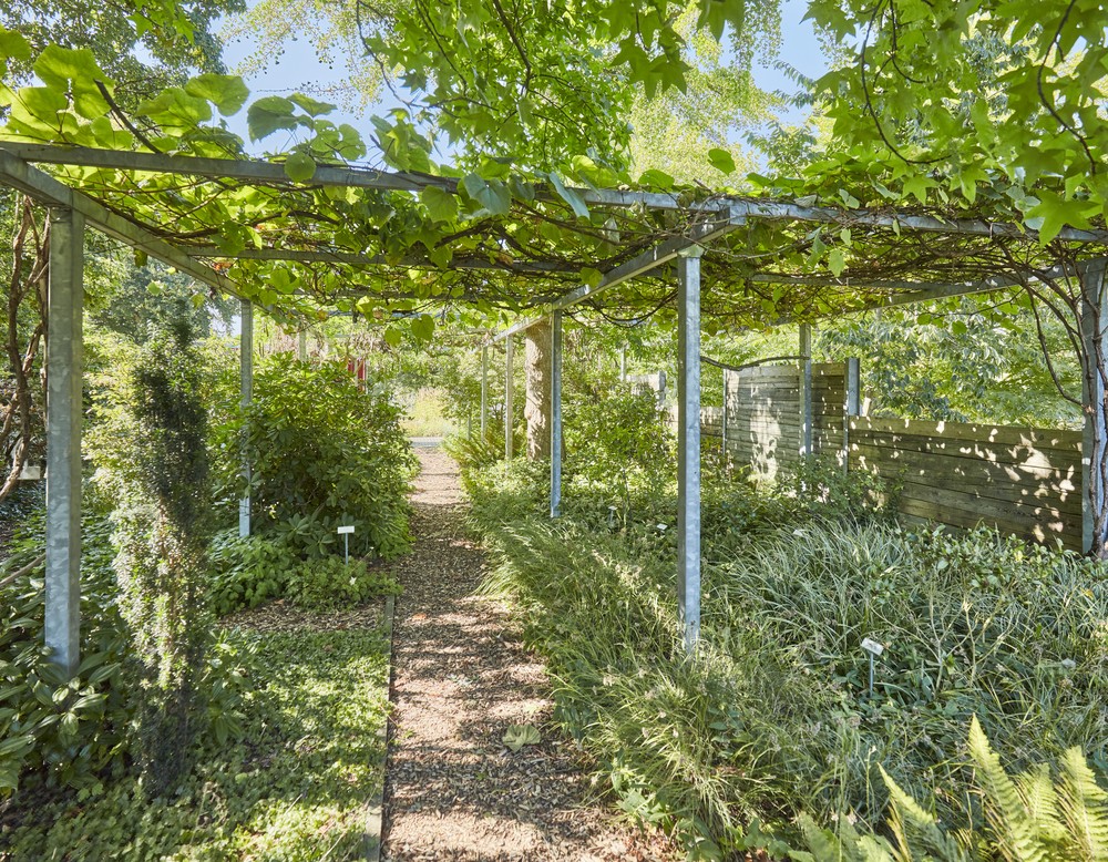 Höxter, Botanischer Garten Höxter