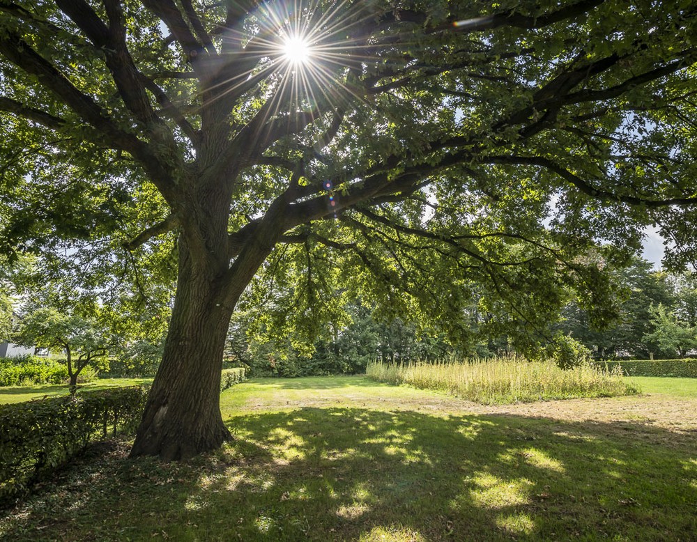 Herzebrock Clarholz: Klostergarten Herzebrock