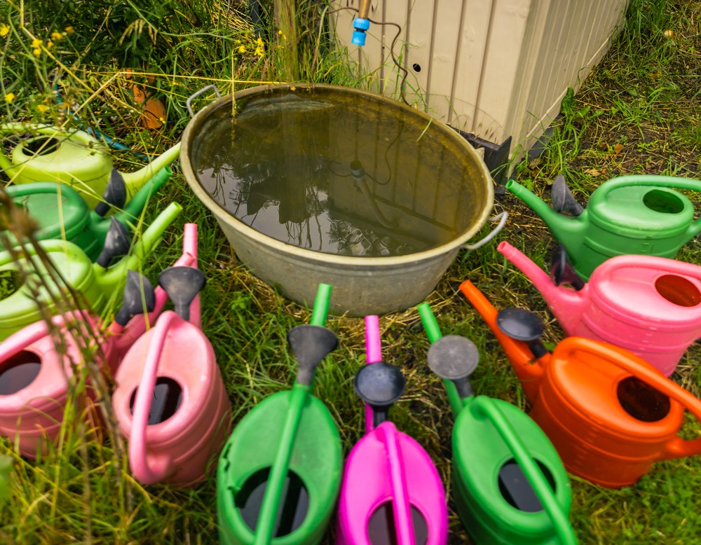 Ennigerloh: Bikis Schätze der Natur