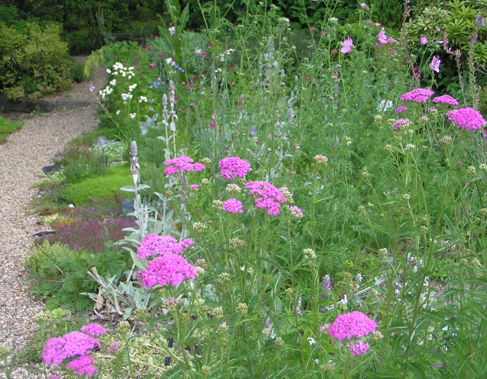 Hattingen, Garten Sattler