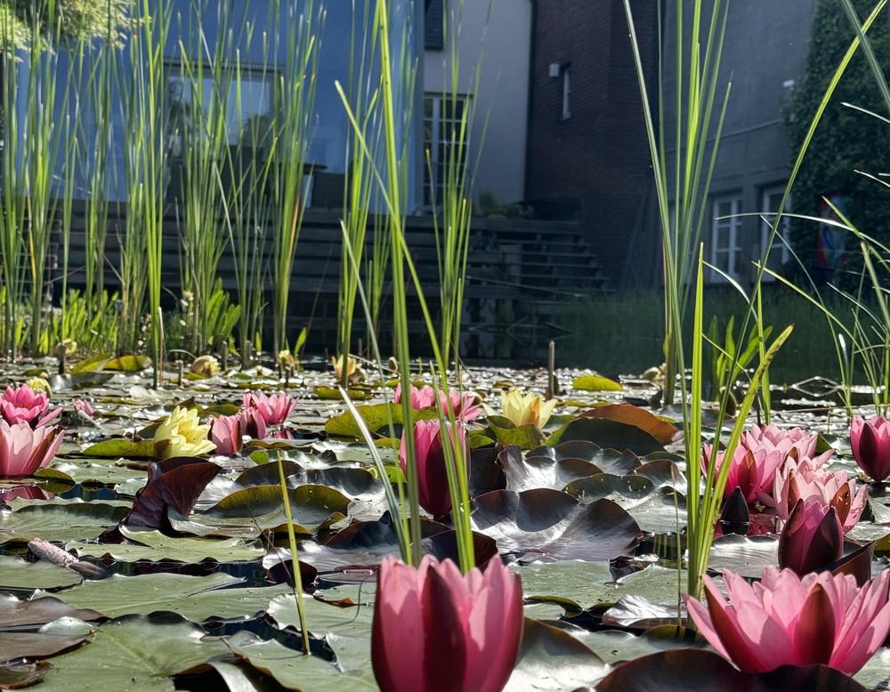 Skulpturengarten Gockel