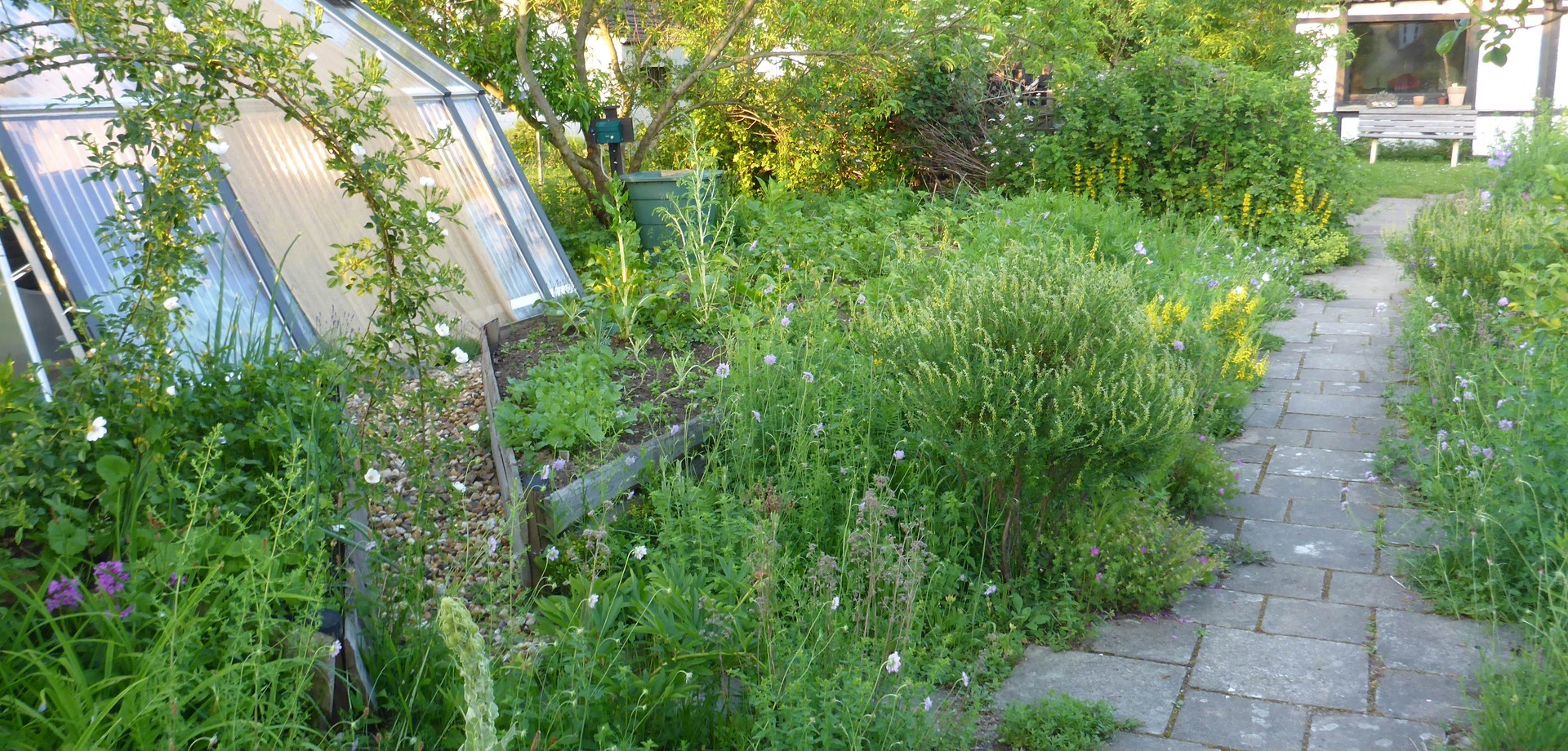 Naturnaher Schrebergarten Fam. Schulte