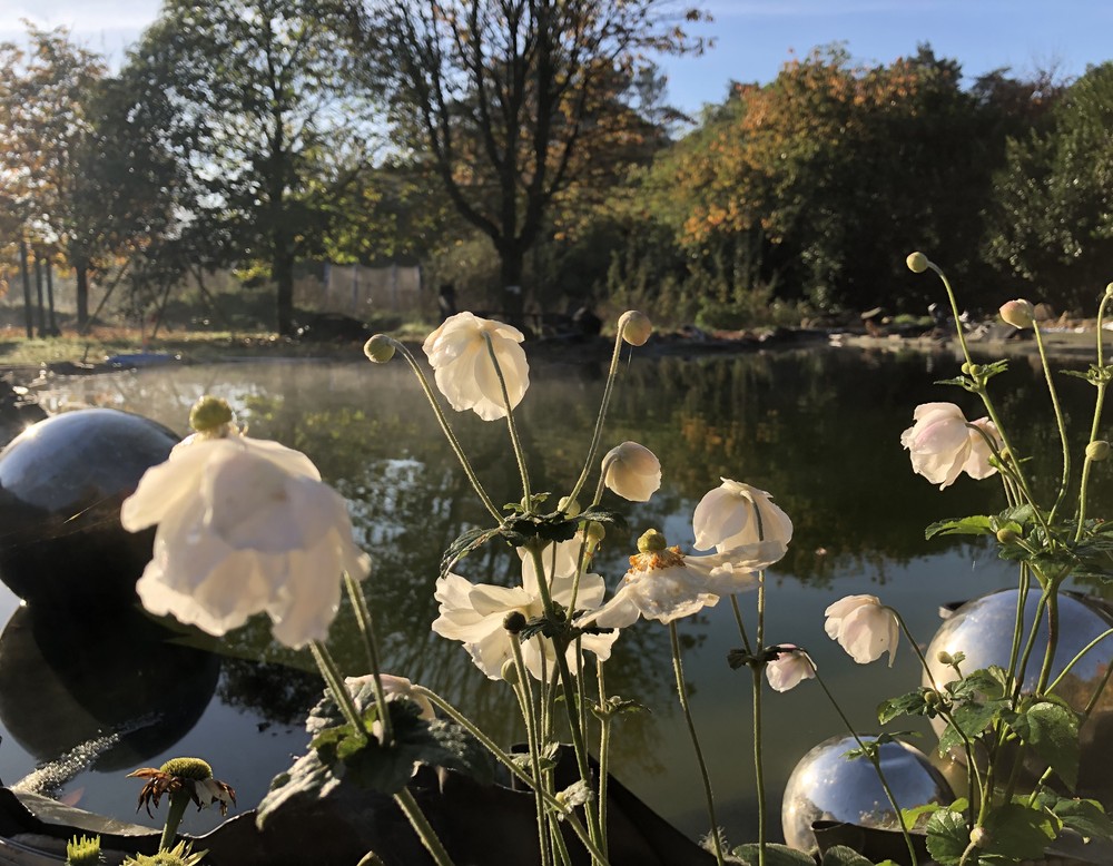 Naturhof Schulte Mesum