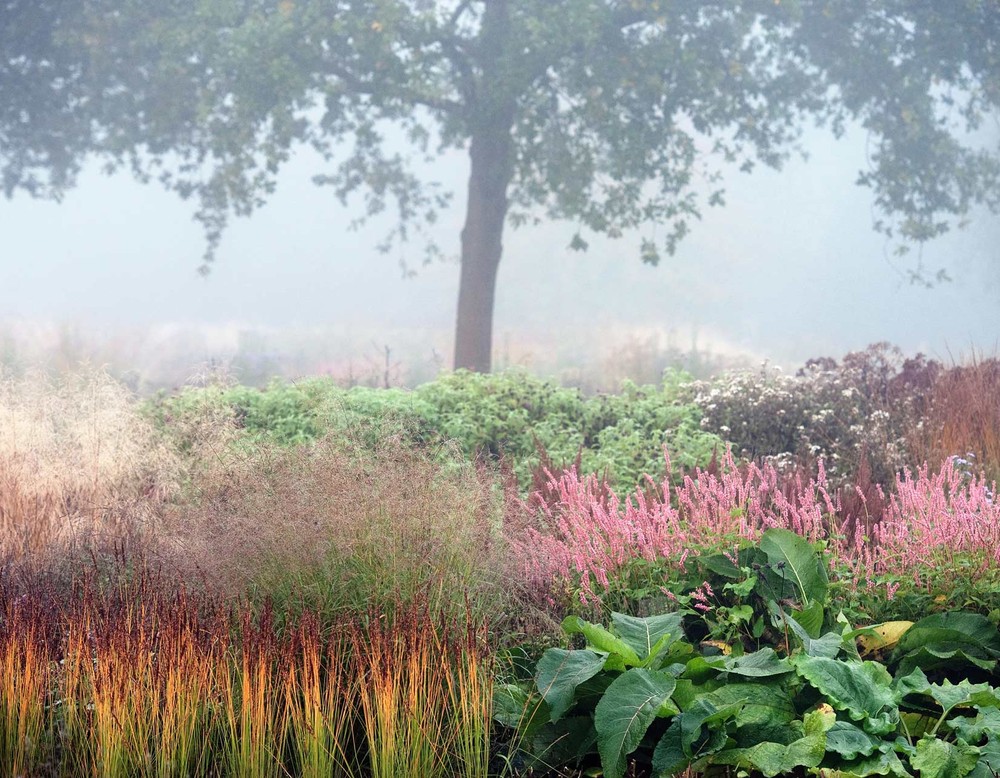 Von Piet Oudolf angelegte Staudenbeete im Maximilian Park Hamm bei Nebel.