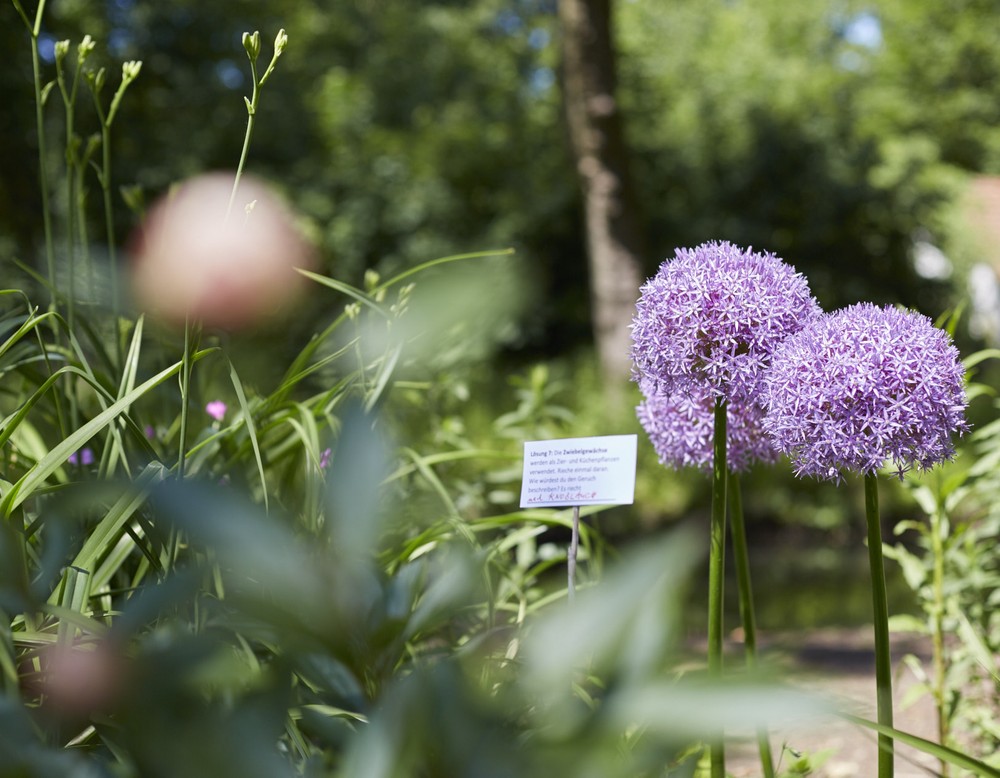 Senden: Gartenanlage Wasserschloss Senden