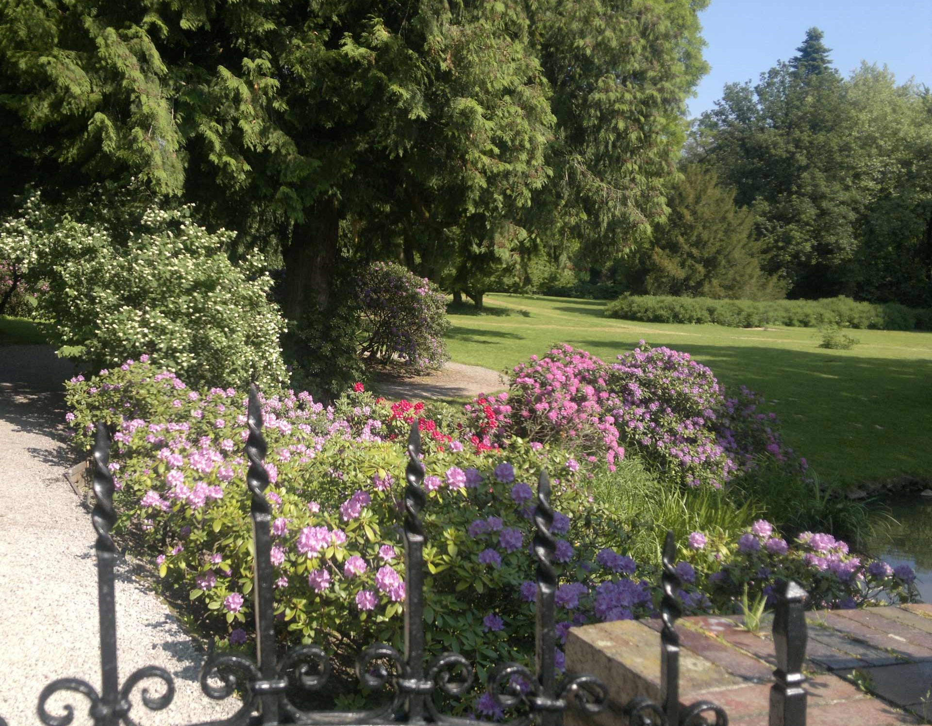 Blumen im Schlossgarten des Schlosses Wendlinghausen.