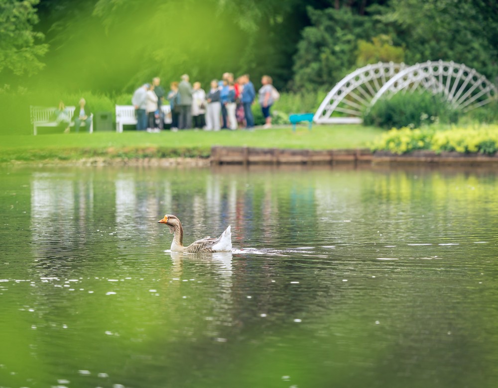 Gräflicher Park Bad Driburg