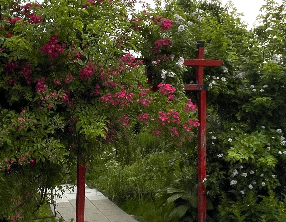 Münster, Kleingartenanlage Naturfreunde