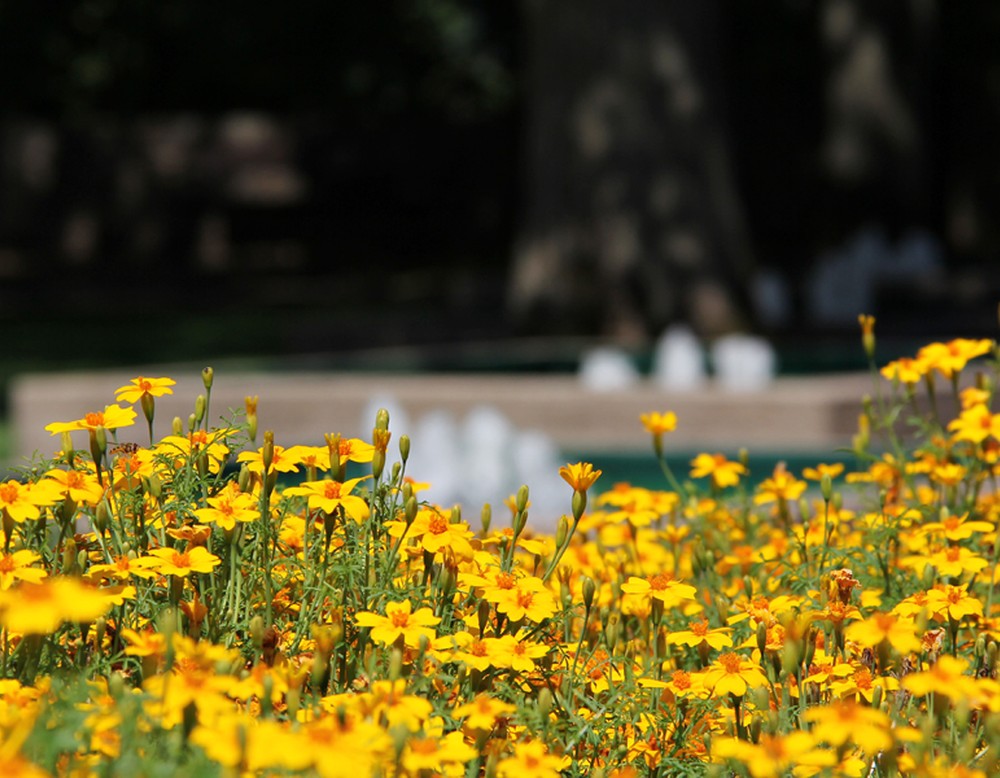 Siegen, Schlosspark Siegen