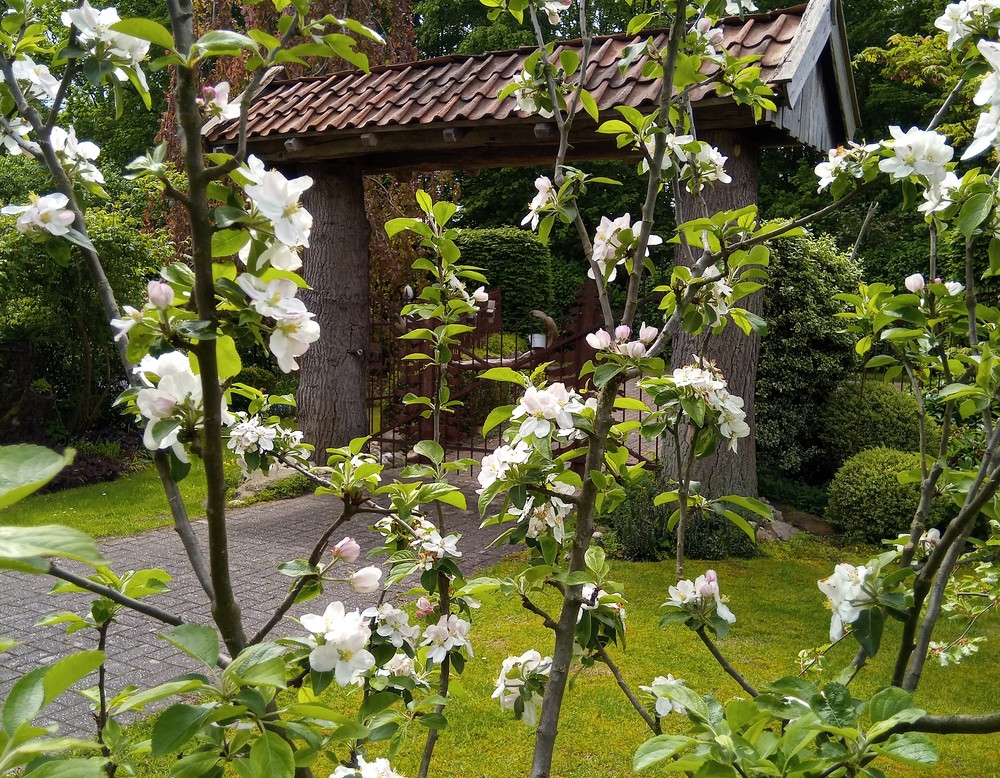 Schermbeck, Garten Eva und Rainer Paus