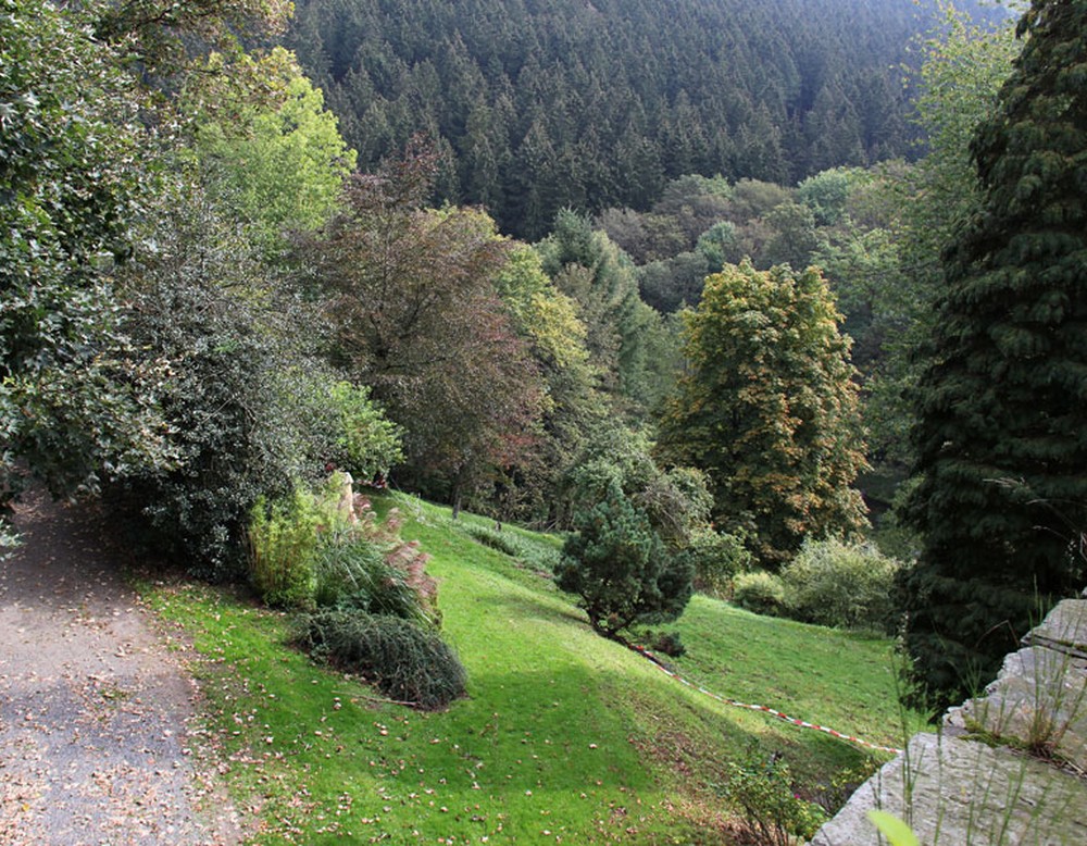 Parkgelände außerhalb der Burg Schnellenberg. Zu sehen ist der Wald, der östlich der Burg liegt.