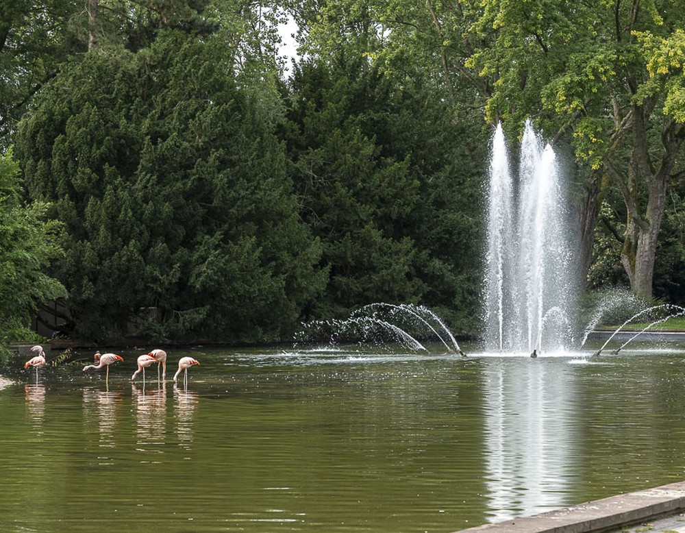 Westfalenpark in Dortmund