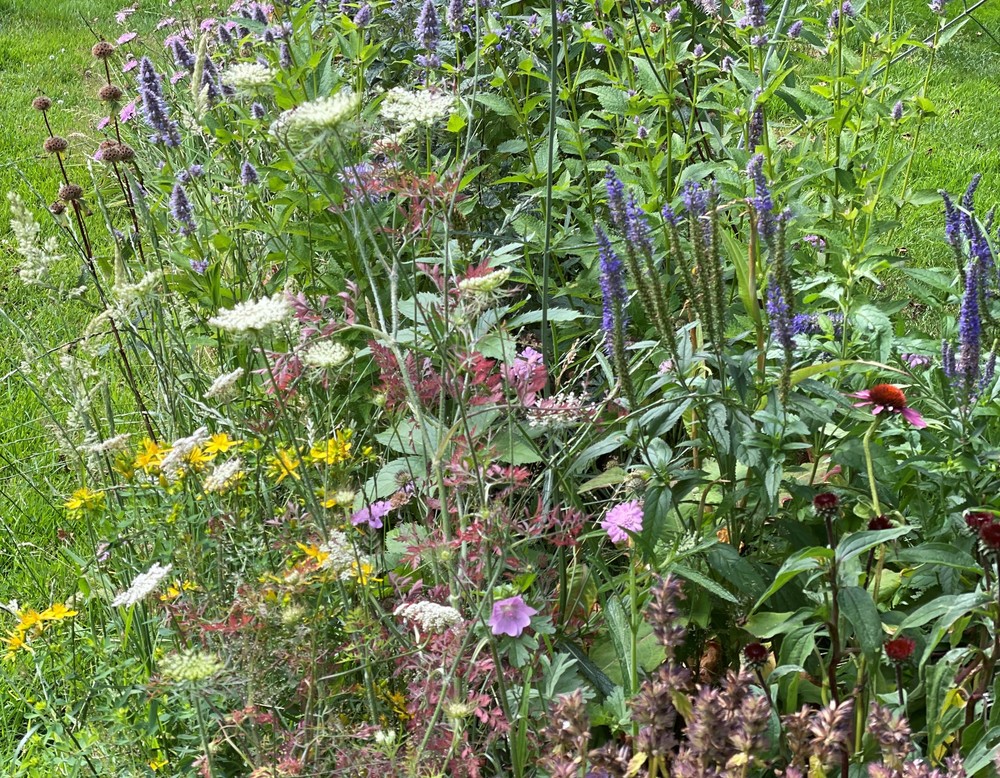 Essen, Garten am Nachtigallental