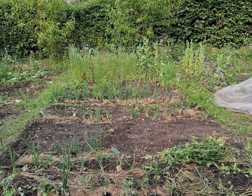 Schräger Bahn Garten