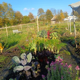 Dickhöfer's Biogarten