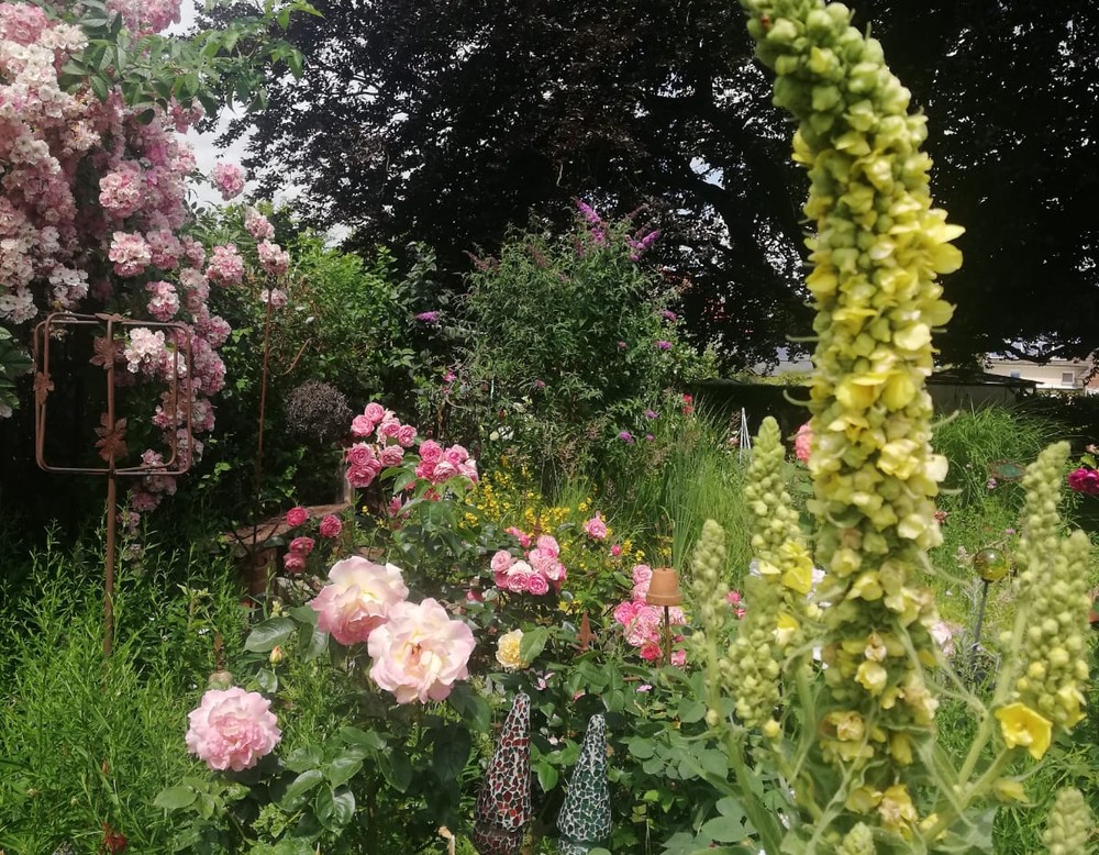 Meck's nostalgischer Landgarten