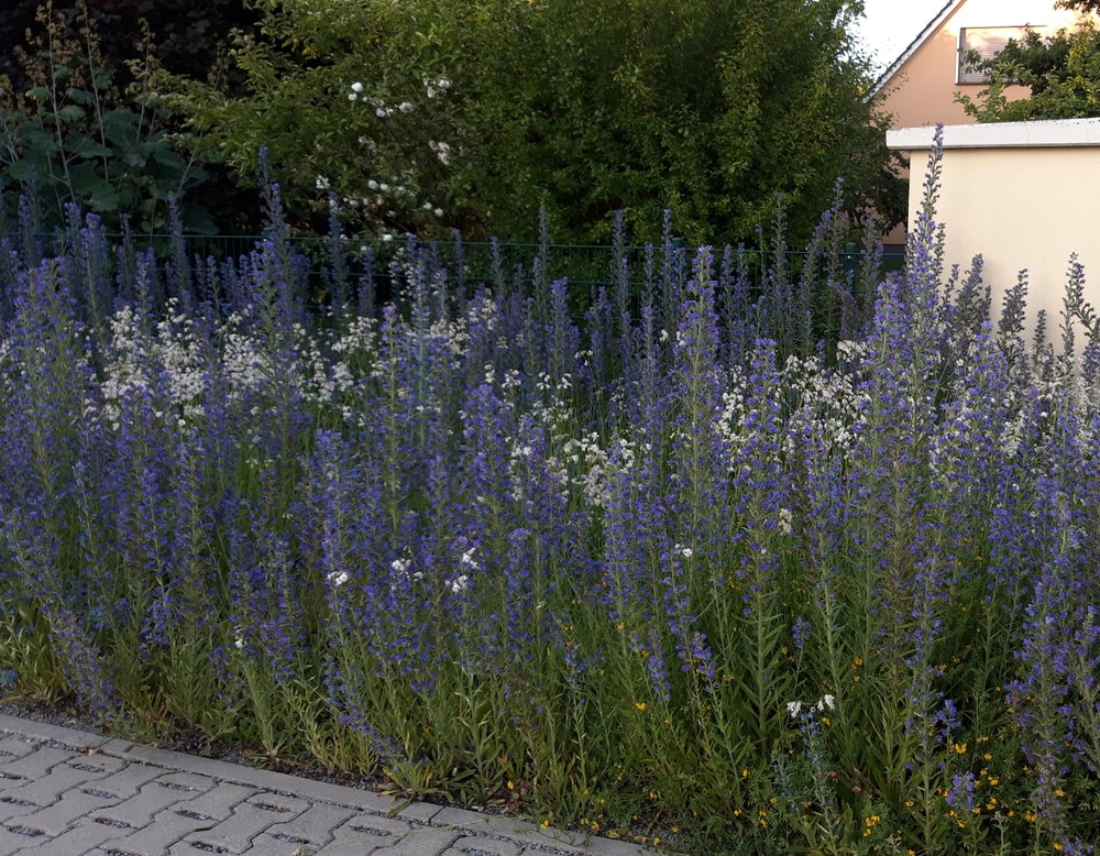 Lübbecke: Naturgarten Larusch