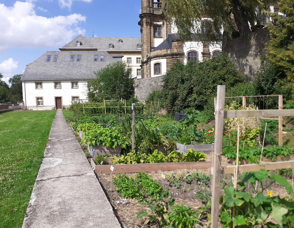 Büren Wurzgarten